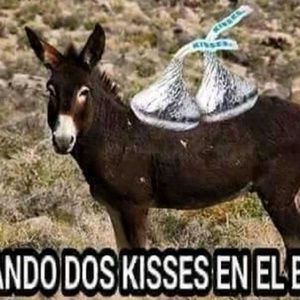 Meet your Posher, Rene